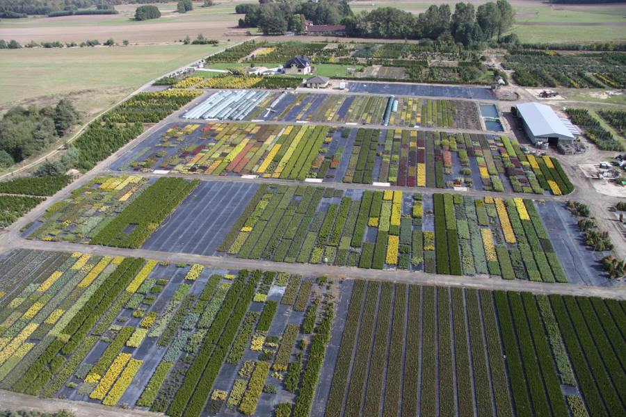 Boutiques XL moteriški drabužiai dideliais dydžiais nėščiųjų drabužiai Rzeszów Lenkija